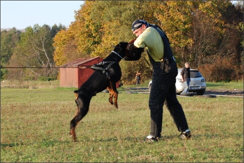 Training in Estonia 9/2007